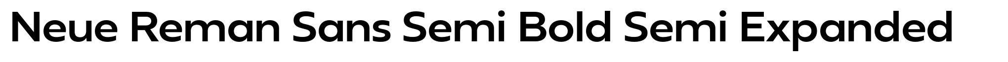 Neue Reman Sans Semi Bold Semi Expanded image